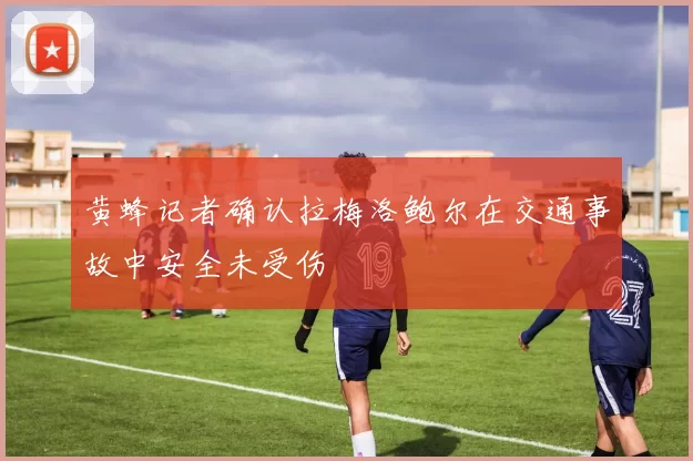 黄蜂记者确认拉梅洛鲍尔在交通事故中安全未受伤
