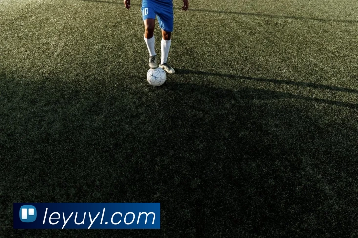 乐鱼娱乐APP 封面图